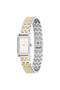 CK Light CK25100199 - 2