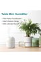 White Humidifier Diffuser, USB Powered Mist Maker, Quiet Aroma Diffuser with Color Changing Night Li - 7