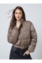 Brown Regular Fit Padded Jacket