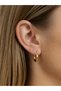 Gold Solid Earrings - 2