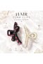 Large Buckled Hair Clip (Set of 2) - 3