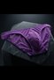 Men's Purple Sheer Briefs - 2