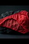 Men's Red Sheer Briefs - 4