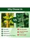 3 PCS Plant Tie Up Self Adhesive Each 5m - 3