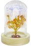 Latas Natural Carnelian Stone Tree in a Glass Dome with Wooden Base | Artificial Bonsai Feng Shui Money Tree & Good Luck for Home & Office 01