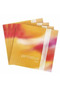 Spirocore Solo C-sharp (C#) Double Bass String - 8