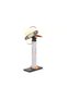 Kit STEM Cu modele interactive Junior Max, - 4