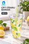 Double-Walled Straw Cup, 480 ml, Patterned Plastic Beverage Cup with Lid - 2