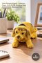 5 Nodding Dogs – Bobbleheads, 12 x 15 cm, Nodding Dog, Bobblehead, Desktop Ornament