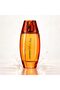 Fall In Love Orange Fragrance Spray 100ml, Long Lasting Arabic Fragrance with Orange, Jasmine, Vanilla & Amber - 5