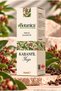 Pure Clove Essential Oil (Clove Essential), 100% Pure, Produced by Distillation, 10 ml - 2