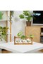 Ceramic Vase Set - 8