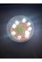 Light-Up Flowered Glass Globe Night Light with Wooden Base—Decorative Table Lamp and Gift Item - 7