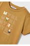 Boy's T-Shirt Brown - 5