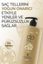 Daily Perfection Shampoo Pine Turpentine 800 ml X 6 Pieces - 4