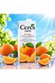 Orange Fruit Juice Mix Orange Juice - 2