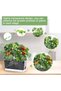 2 - Pack Rectangular Clear Self - Watering Plant Pots with Drainage Holes for Indoor Plants - 4