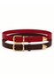 Genuine Leather Women's Belt with Gold Buckle and Metal Tips - 3 cm Belt for Jeans and Cloth Pants