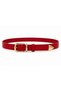 Genuine Leather Women's Belt with Gold Buckle and Metal Tips - 3 cm Belt for Jeans and Cloth Pants - 3