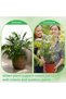 Stackable Plant Support Stakes and Adjustable Circular Trellis for Climbing Plants, Garden Accessori - 3