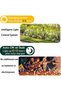 2 Pack Solar Swaying Lights Wind Motion Garden Stakes - 5