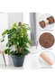Moss Pole, 40cm/16inch Monstera Plant Support for Climbing Plants Accessories Indoor, Stackable Moss - 2