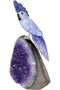 Latas Natural Hand Carved Lapiz Stone Parrot Bird in Amethyst Raw Geode Cluster Base | Positivity and Balance Theme | Home Decor and Meditation & Gift 03