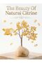 Latas Natural Citrine Crystal Stone-Gem Tree, Bonsai Tree of Life for Home, Meditation Accessories, Positive Energy