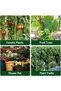 3 PCS Plant Tie Up Self Adhesive Each 5m - 6