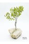 Latas Natural Peridot Gemstone(300 stone) Tree of Life with Crystal Base | Bonsai Feng Shui Money Tree for Stress Relief and Inner Growth - 3