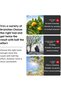 Electric Pruning Shears Quiet Cordless for Residential Gardens - 3