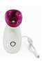 Nano Ionic Facial Steamer, Warm Mist Face Sauna for Home Spa with Auto Shut-Off, Towel Warmer - 2