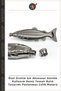 Custom-Made Stylish Accessory for Everyday Use: Marine-Themed Fish Design Stainless Steel Water Bottle