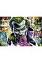 Puzzle 1000 premium plus joker - 2