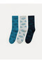 Trendy Picks from Kübra Butik: Set of 3 Embroidered Boys' Socks