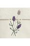 Arwa bamboo flower embroidered hand towel, ecru, 50x90 cm, ecru. - 4