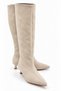 Cedric Women's Black Suede Texture Pointed Toe Low Cat Heel Long Boots - 4