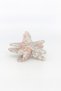 Gradient-Colored Starfish Buckled Hair Clip - 2