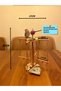 Wooden Bird Ferris Wheel - Swing Toy - 3