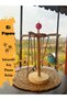 Wooden Bird Ferris Wheel - Swing Toy