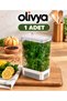 2.9-Liter Vegetable Storage Container - For Fresh Mint and Arugula, Refrigerator Organizer, 1 Piece - 2