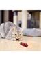 Lucky Path – Moving Ladybug Cat Toy and Comb Set - 7