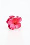 Lotus-Shaped Buckled Clasp