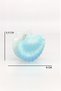 Seashell Buckled Hair Clip - 3