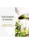 PRIMO BIO by - 100% Organic Primo Organic Cold Extracted Extra Virgin Olive Oil Best Gourmet Olive oil - 4