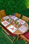 6-Piece Deer New Year Themed Special Design American Service Set