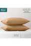 Luxurious Stripe Pillow Covers Set with Envelop Closure Design, Pillowcases 2-Pieces Set, Soft & Coz - 2