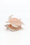 Karetta-Shaped Buckled Hairpin - 2