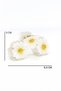 Triple Potato Buckled Hair Clip - 3