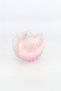 Seashell Buckled Hair Clip